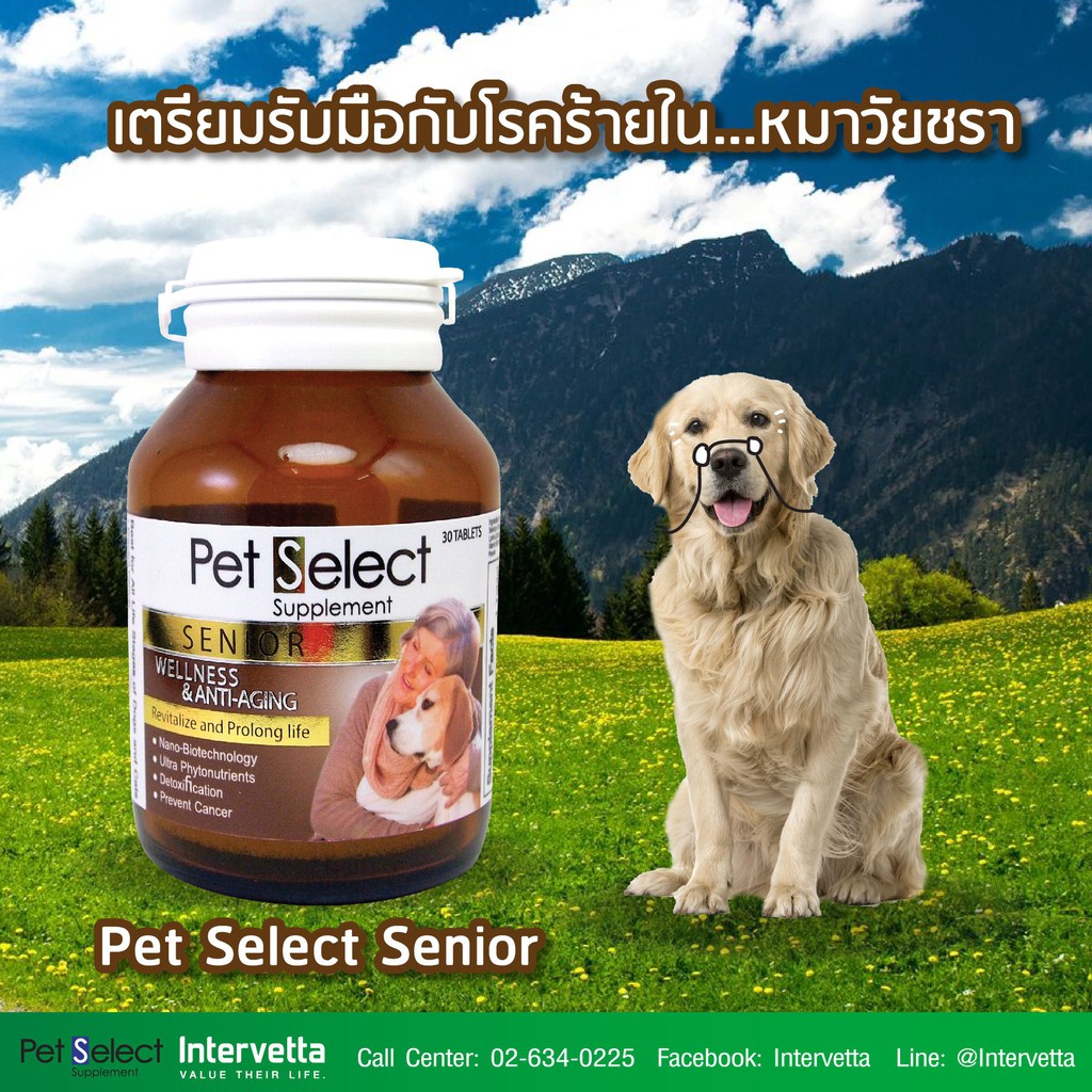 pet-select-senior-แท้-อาหารเสริมสุนัข-แมว-สูงอายุ-ต่อต้านอนุมูลอิสระ-ชะลอวัย