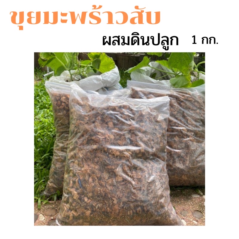 My Image 29