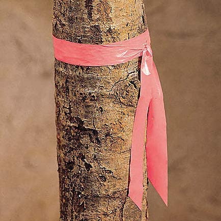 surveyors ribbon tape เทปผ้าวัดเขตและกั้นอนาเขต ขนาด2นิ้ว | Shopee Thailand