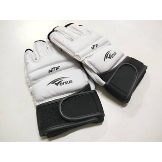 VERZUS Hand Protector - ถุงมือ Taekwondo