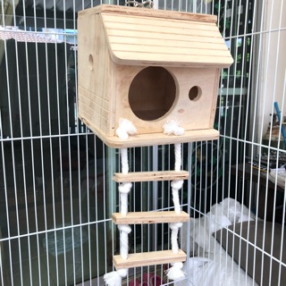 🏠 บ้านชูก้า🦜 กระรอก 🐿นกแก้ว🦜 14*15*15cm🐿🕊🐒🐭บ้านสัตว์เลี้ยง เปิดหน้า แขวนได้