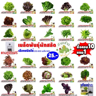 ภาพหน้าปกสินค้า(ฟรีคู่มือ 10แถม1) ซอง 200-800เมล็ด เมล็ดพันธุ์ ผักสลัด ทำมะชาดฟาร์ม กรีนโอ๊ค เบบี้คอส สวิสชาร์ด ผักกาดหอม ไฮโดรโปรนิกส์ ที่เกี่ยวข้อง