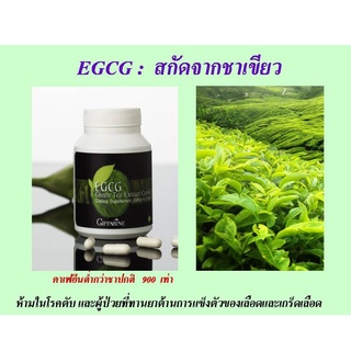 EGCG MAXX-อี จี ซี จี แมกซ์ กิฟฟารีน| สารสกัดชาเขียว อาหารเสริม ชาเขียวลดน้ำหนัก ควบคุมน้ำหนัก