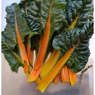 เมล็ดพันธุ์สวิสชาร์ด สีส้ม (Orange Swiss Chard See50 เมล็ด (ไม่ใช่พืชที่มีชีวิต)