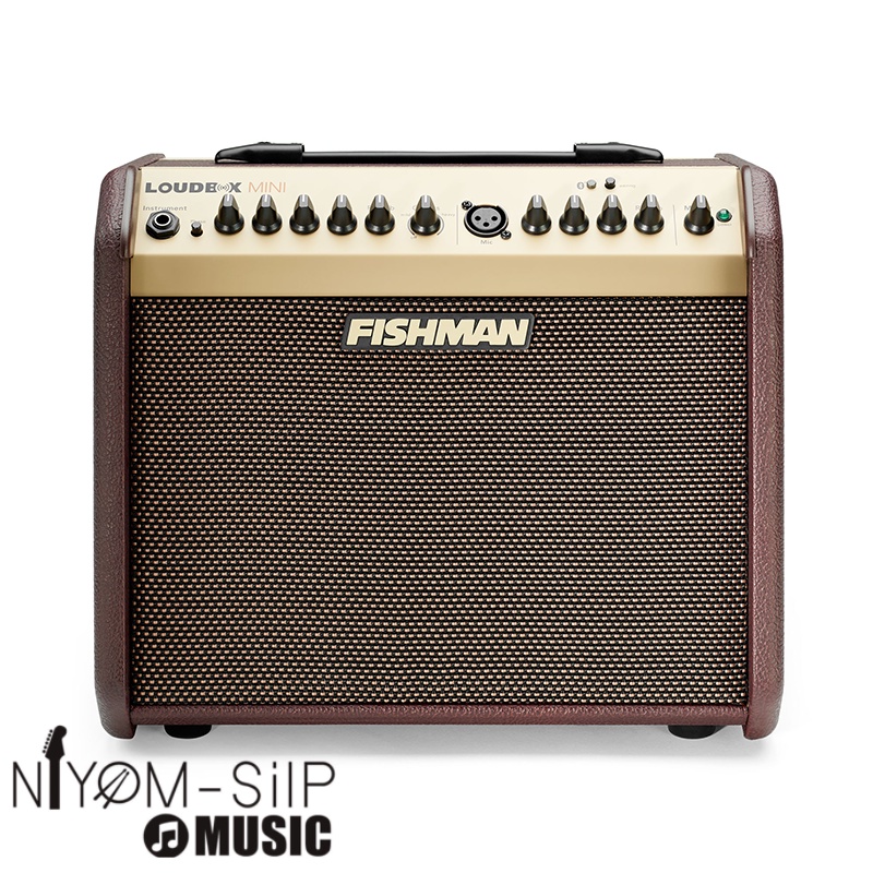 แอมป์อคูสติก-fishman-loudbox-mini-bluetooth