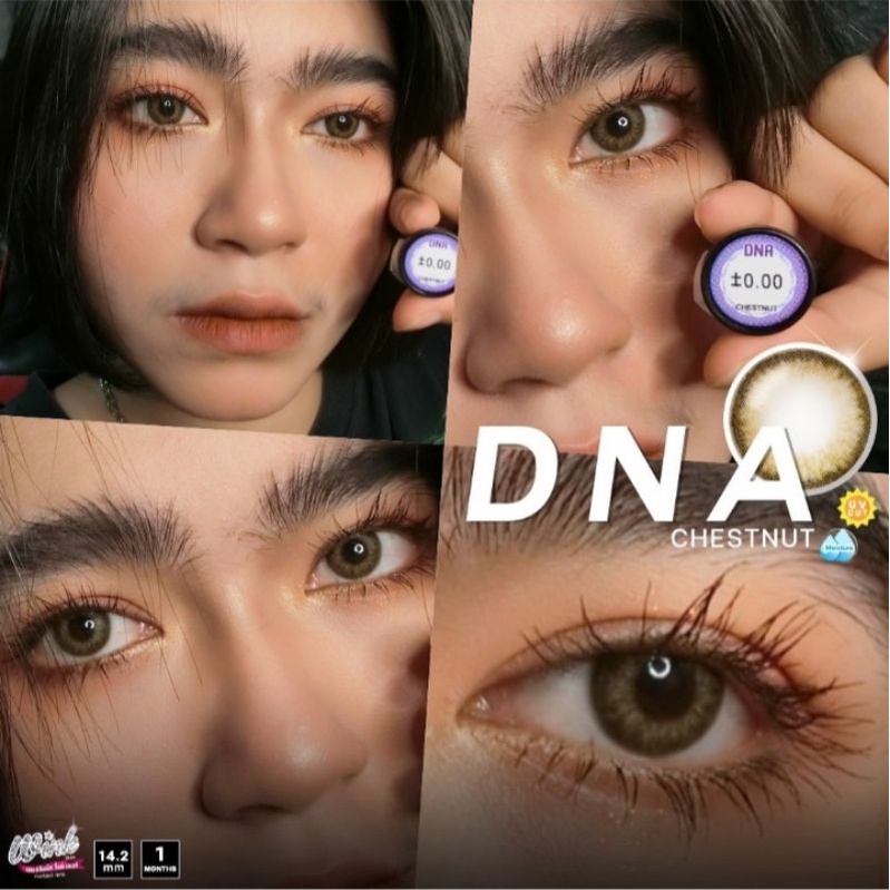 คอนแทคเลนส์-dna-brown-ขนาดมินิเท่าตา-โทนฝอตาฝรั่งสวย