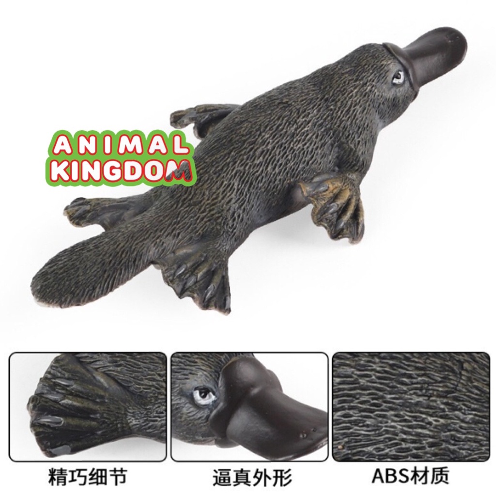animal-kingdom-โมเดลสัตว์-ตุ่นปากเป็ด-เทาเขียว-ขนาด-17-50-cm-จากสงขลา