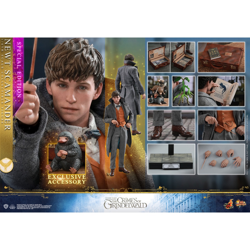 สินค้าพร้อมส่ง-ฟิกเกอร์-โมเดล-ของ-สะสมhot-toys-mms512-fantastic-beasts-the-crimes-of-grindelwald-newt-scamande