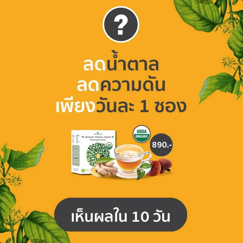 naturalcode-herbal-drink-มะระขี้นกผงเข้มเข้น-เครื่องดื่มเพื่อสุขภาพ