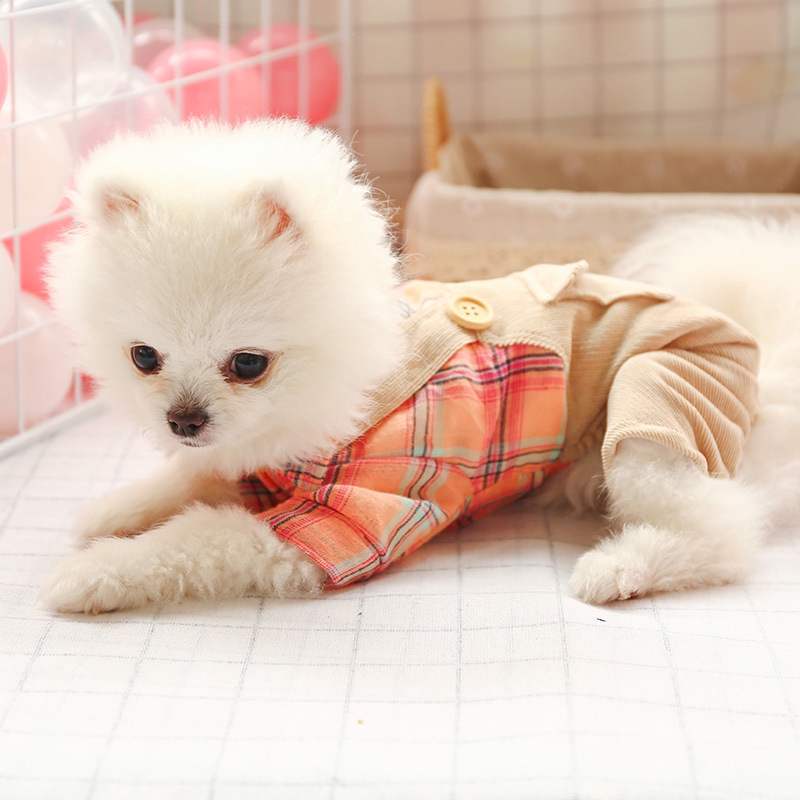 สัตว์เลี้ยงสุนัขแมวเสื้อผ้าสำหรับสุนัขขนาดกลางและขนาดสายรัดกางเกงขาในเสื้อผ้าเท็ดดี้