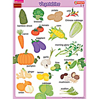 โปสเตอร์พลาสติก Vegetables (ใช้ร่วมกับปากกาพูดได้Talking Penได้)