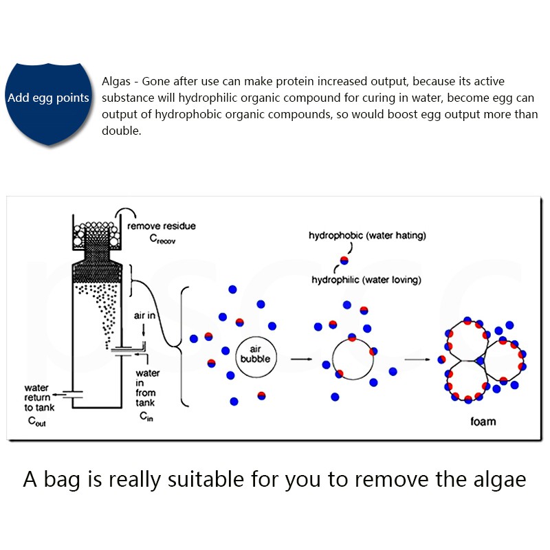 pure-aquatic-algae-gone-สารลดตะไคร่-ป้องกันการเกิดตะไคร่-ช่วยให้น้ำใส-ลดของเสียในระบบ-ปลอดภัยกับทุกสิ่งมีชีวิตในตู้