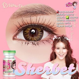 💟 Sherbet pitchylens Pretty Doll brown gray black Contactlens บิ๊กอาย คอนแทคเลนส์ ราคาถูก แถมตลับฟรี