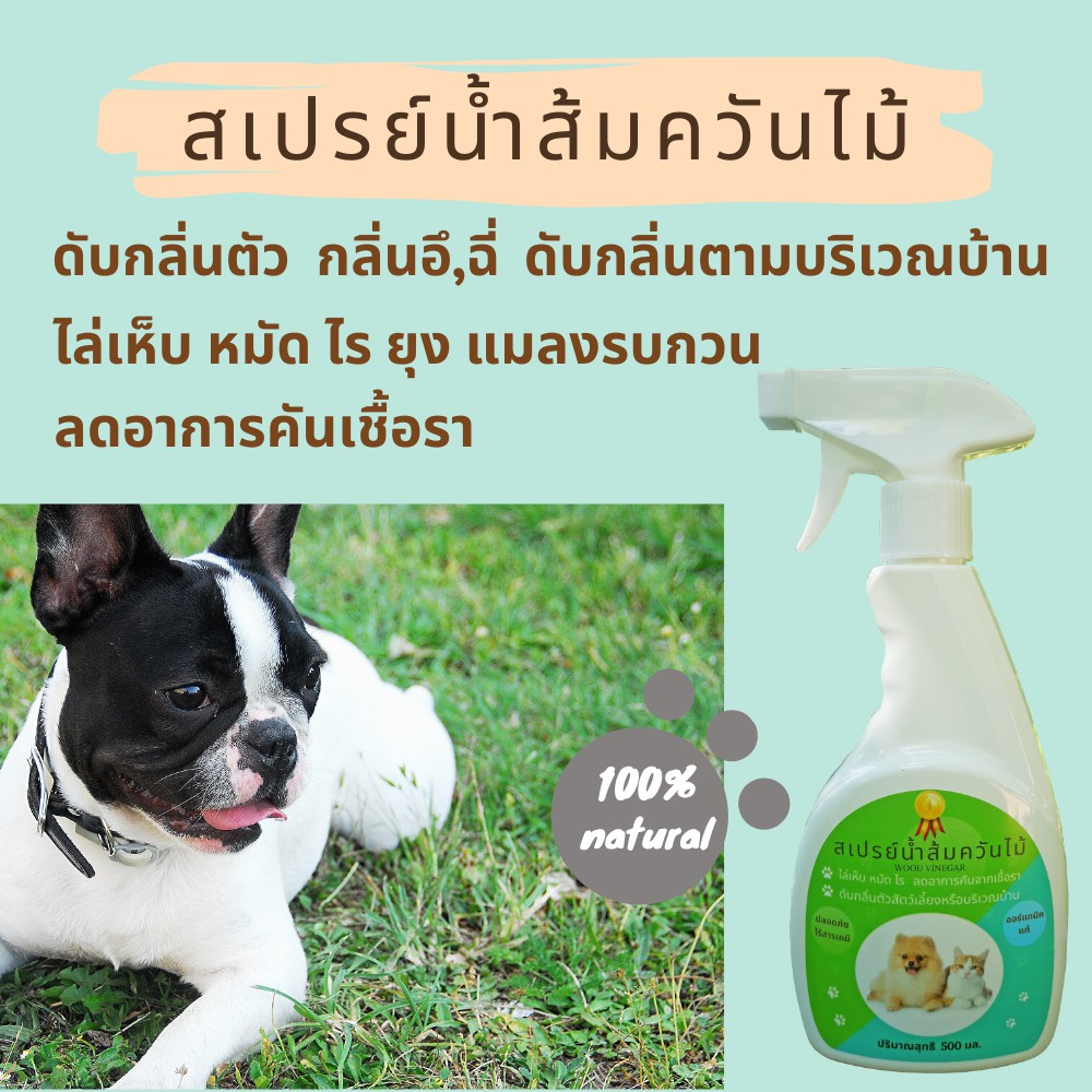 ภาพหน้าปกสินค้าสเปรย์ไล่เห็บหมัด ไร ยุง แมลง ดับกลิ่นสัตว์เลี้ยง ขนาด500ml จากร้าน lekoking_99 บน Shopee