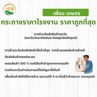 ภาพขนาดย่อของภาพหน้าปกสินค้ากระถางต้นไม้ กระถาง กระถางต้นไม้พลาสติก กระถางแคคตัส กระถางราคาโรงงาน ราคา ขนาด 5.7 นิ้ว สีดำ จากร้าน friend.kaset บน Shopee ภาพที่ 1