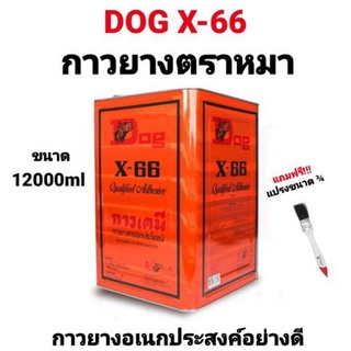 กาวยาง กาวยางอเนกประสงค์ DOG X-66 ตราหมา 12000ml กาวยางตราหมา กาวติดรองเท้า กาวซ่อมกระเป๋า กาวติดพีวีซี กาวเหลือง