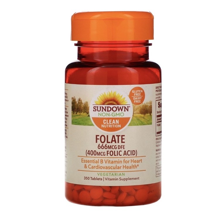 folic-acid-กรดโฟลิก-800-mcg-วิตามิน-b12-250-เม็ด-หรือ-350เม็ด