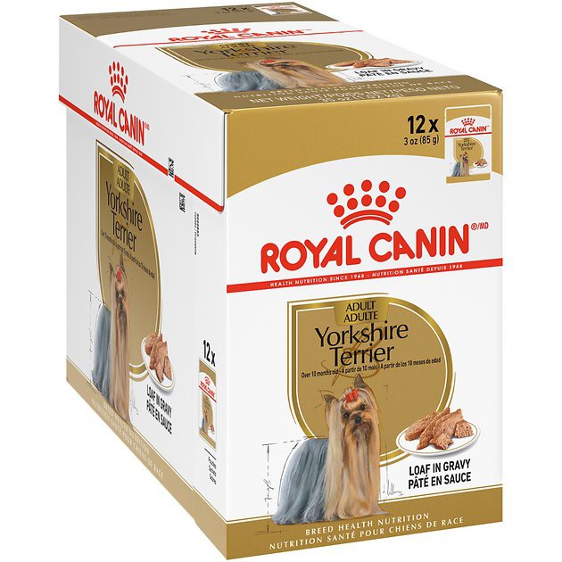 royal-canin-yorkshire-terrier-อาหารสุนัขพันธุ์ยอร์คไชร์เทอร์เรีย-85g-x-12-ซอง