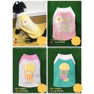 🌸Puppe เสื้อสุนัขแมว รุ่น Popcorn (Prime)🌸