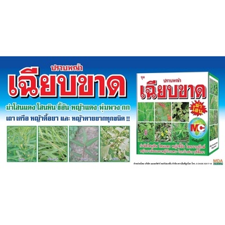 🌾 เฉียบขาด 🌾ขสยส่ง440฿ ยาฆ่าหญ้าในนาข้าว สารกำจัดวัชพืช ในนาข้าว เช่น โสนหิน โสนคางคก หญ้าปล้อง กระดูกไก่