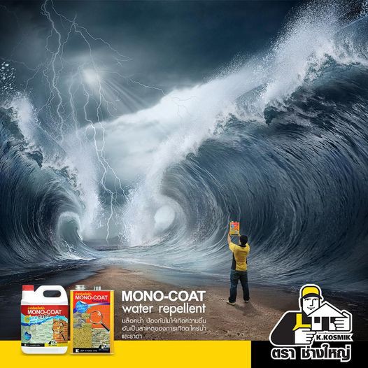 mono-coat-น้ำยากันตะไคร่น้ำและเชื้อรา-สูตรน้ำมัน-โมโนโค้ท-1-กล-น้ำยา-กันตะไคร่น้ำ-และเชื้อรา-mono-coat