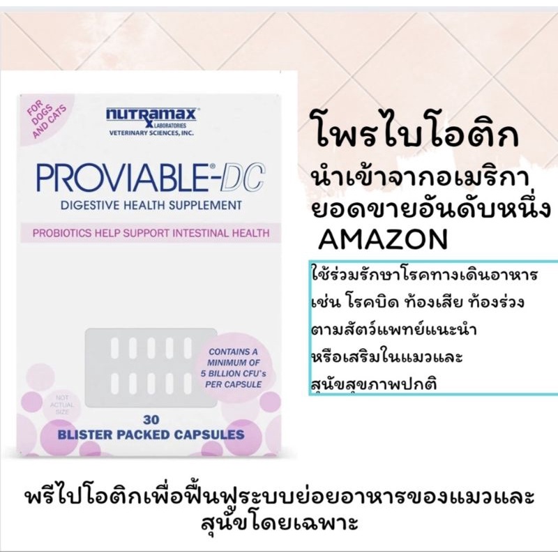 พร้อมส่ง-synbiotic-dc-by-nutramax-proviable-โพรไบโอติกจากอเมริกาสุนัขและแมว-อาหารเสริม-โรคบิด-ท้องเสีย-เสริมภูมิ