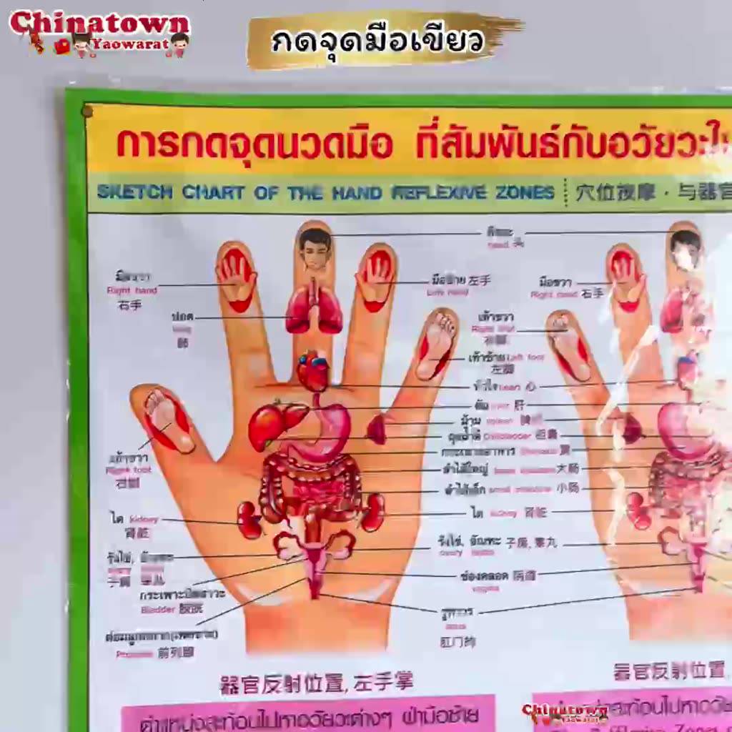 โปสเตอร์-กดจุดมือเขียว-poster-นวด-นวดแผนไทย-ฤษีดัดตน-กดจุดรักษาโรค-การนวดกดจุด-ลมปราณ-นวดแผนโบราณ-นวดแผนไทย