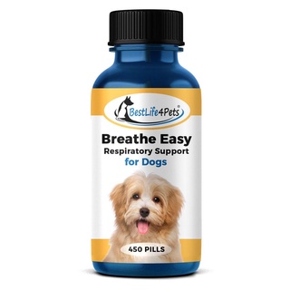 ภาพหน้าปกสินค้า[กระปุก 450 เม็ด] DOG Breathe Easy อาหารเสริม สำหรับสุนัข ระบบทางเดินหายใจ ที่เกี่ยวข้อง