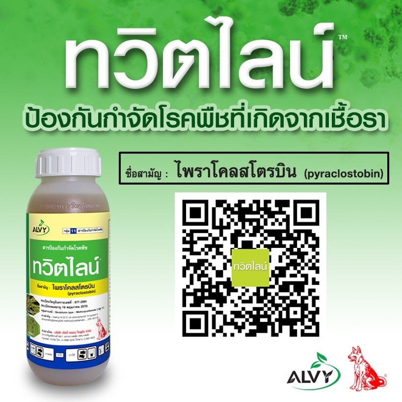 ทวิตไลน์-ขนาด-500-ซีซี-สารป้องกันและกำจัดโรคพืชที่เกิดจากเชื้อรา