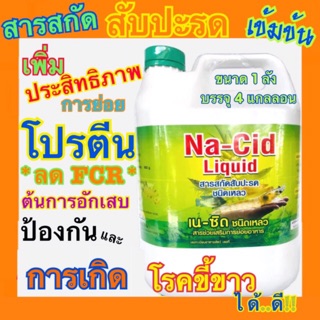 Nacid เนซิด สารสกัดสับปะรดเข้มข้น สารช่วยย่อย 1 กล่อง 4 แกลลอน 20 กิโล 1 กล่อง ต่อ 1 คำสั่งซื้อนะคะสินค้ามีขนาดใหญ่