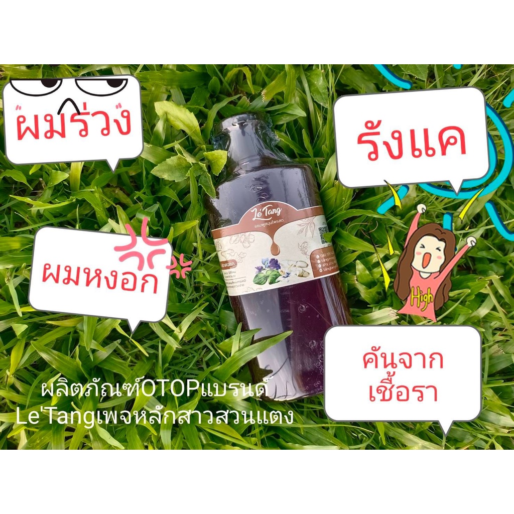 แชมพูสมุนไพร-ธรรมชาติ-สินค้า-otop-ของจังหวัดกระบี่-พร้อมส่ง