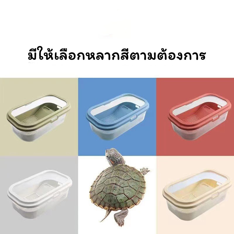 แทงค์เลี้ยงเต่า-turtle-tank-set-คุณภาพดี-อ่างเลี้ยงเต่า-กระบะเลี้ยงเต่า-สำหรับเต่าน้ำ-เต่าญี่ปุ่น