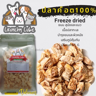 CrunchyCube ปลาค็อต Freezedride ขนมสุนัขและแมว