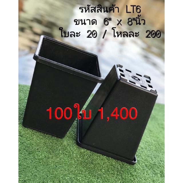 LT6 กระถางต้นไม้แคคตัส ขนาด 6 x 8 นิ้ว 1 โหล