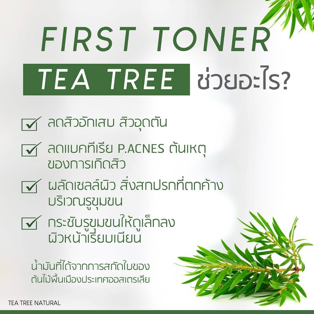พร้อมส่ง-plantnery-tea-tree-first-toner-250-ml
