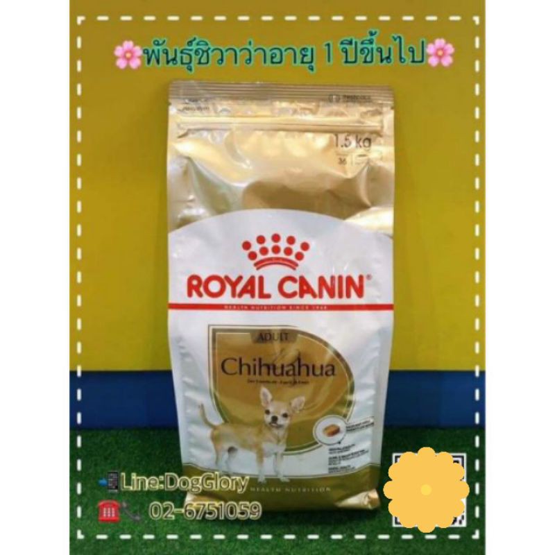 royal-canin-chihuahua-ขนาด-1-5-kg-สูตรสุนัขพันธุ์ชิวาว่าอายุ-1-ปีขึ้นไป