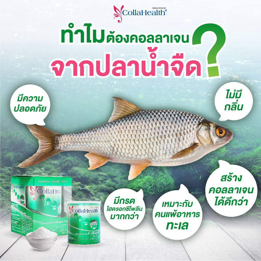 collahealth-collagen-powder-100-คอลลาเจน-ชนิดผง-ขนาดถุงเติมรีฟิล-100-กรัม