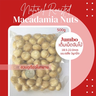 แมคคาเดเมีย อบพร้อมทาน 500 กรัม Macadamia nuts