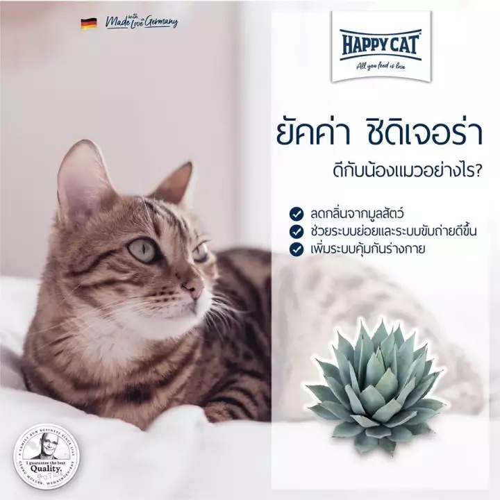 แบ่งขาย-happy-cat-sterilised-1-กิโลกรัม-อาหารแมวโต-สูตร-แมวทำหมัน-ควบคุมน้ำหนัก-รสชาติอร่อย