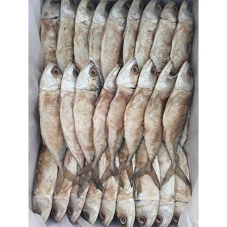 ภาพหน้าปกสินค้าปลาทูหอม ปลาทูมัน ยกลัง 10 กิโล 950 บาท ที่เกี่ยวข้อง