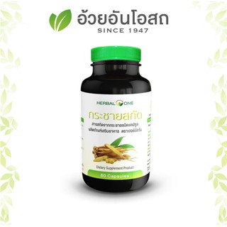 อ้วยอัน กระชายขาวสกัด Herbal One Finger Root Extract 200mg 60 แคปซูล