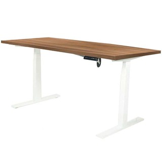 Desk STANDING DESK ERGOTREND SIT 2 STAND GEN2 180CM TEAK/WHITE Office furniture Home &amp; Furniture โต๊ะทำงาน โต๊ะทำงานปรับ