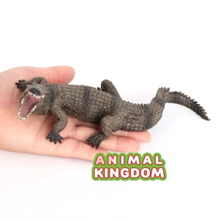 Animal Kingdom - โมเดลสัตว์ จระเข้ เทาดำ ขนาด 20.50 CM (จากสงขลา)