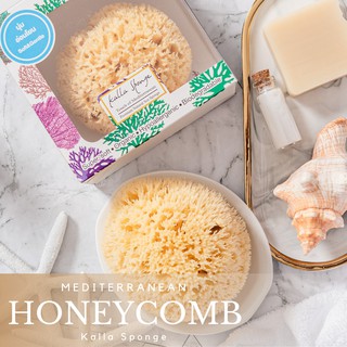 ภาพหน้าปกสินค้าKALLA SPONGE ฟองน้ำธรรมชาติ ชนิด Honeycomb สีเหลือง สำหรับอาบน้ำ (FREE EMS!!) ที่เกี่ยวข้อง