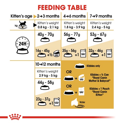 royal-canin-kitten-british-shorthair-400g-อาหารเม็ดลูกแมวพันธุ์บริติช-ชอร์ทแฮร์-อายุ-4-12-เดือน-dry-cat-food-โรยัล-คาน