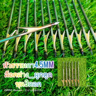 ภาพขนาดย่อของสินค้าลูกดอกยิงปลา,4.5mm,หัวธรรมดา,(ชุด3ดอก)