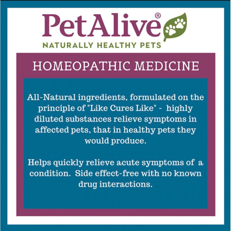 petalive-amazapet-homeopathic-for-asthma-for-cats-amp-dogs-180-count