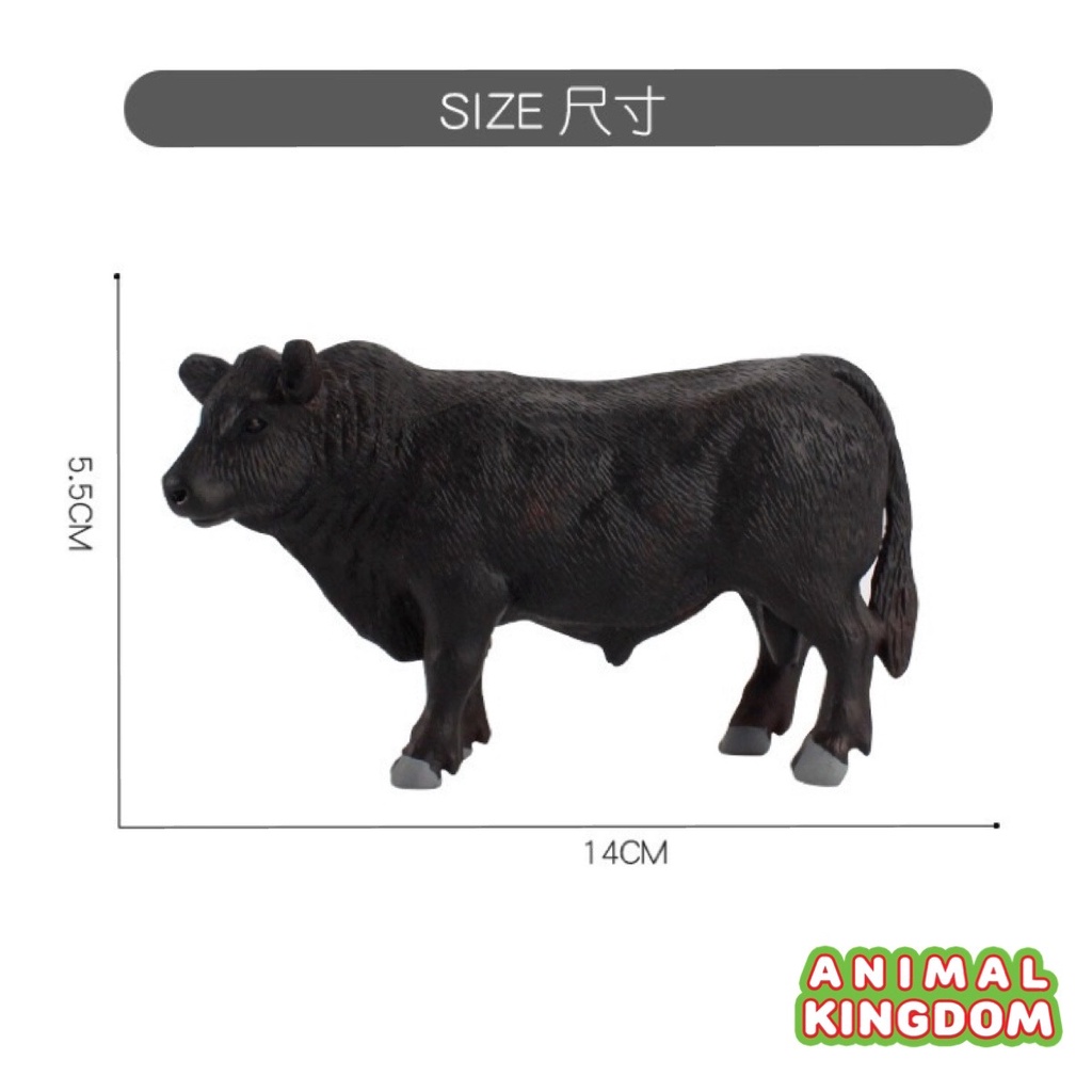 animal-kingdom-โมเดลสัตว์-วัวแองกัส-ขนาด-14-50-cm-จากหาดใหญ่