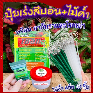 สารเร่งสีไม้ด่าง+กันรา+ไม้ค้ำ🍃ปุ๋ยเร่งสีบอน เงินไหล สีสวย สีเข้ม ใบเงา ต้นแข็งแรง ป้องกันกำจัดเชื้อรา โรคเน่า ไม้ทุกชนิด