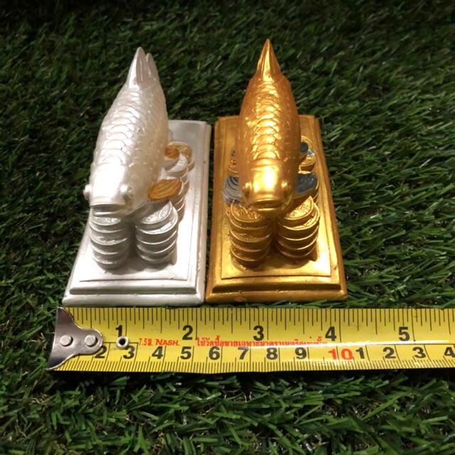 ปลาคู่-เงินทอง-ราคาต่อ-1-คู่